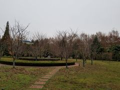 -河海大学(常州校区)