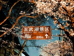 -鸡鸣寺