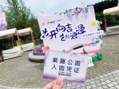 -嘉定紫藤园