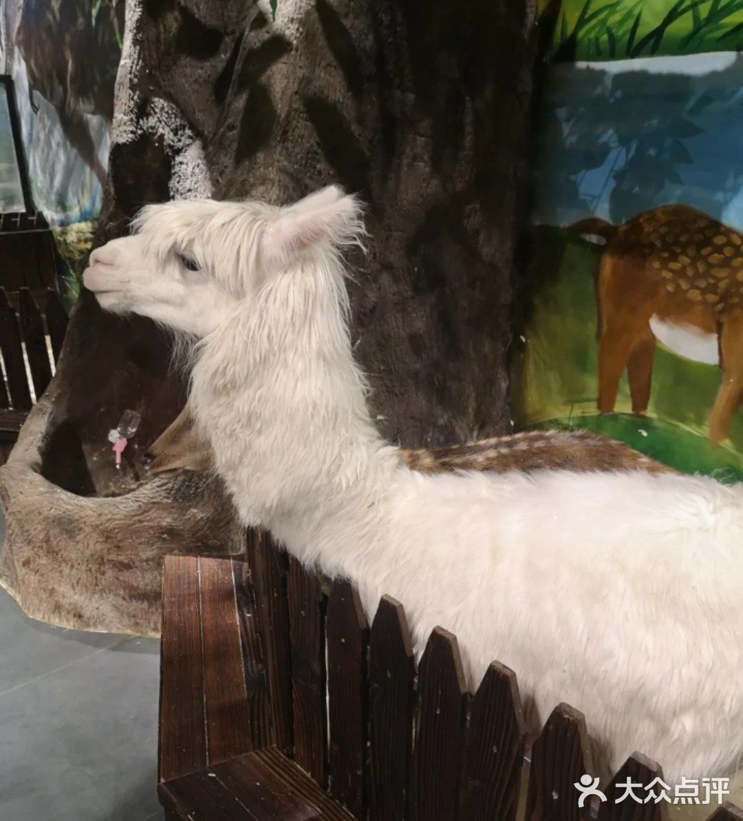 🐿撩宠乐园，心动的感觉～