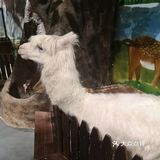 🐿撩宠乐园，心动的感觉～