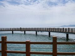 -养马岛旅游度假区