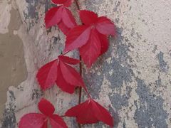 -北京天湖会议中心