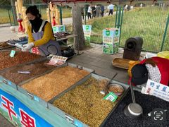 -塞罕坝国家级自然保护区