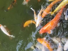 -珠海圆明新园