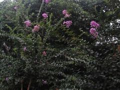 android_upload_pic-苏州乐园森林水世界