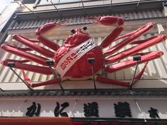 -蟹道乐(道顿堀本店)