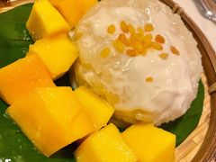 -GOGO Plate(成都太古里店)