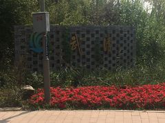 -武清南湖绿博园