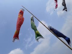 -牛鱼嘴原始生态风景区