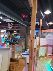 -卡通尼·Safari非洲探索乐园·生日会(金桥国际商业广场店)