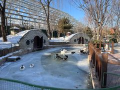 -南宫五洲植物乐园