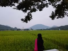 -艾米稻香小镇