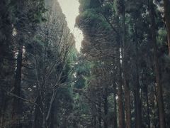 -上色见熊野座神社