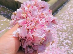 -永乐路-路侧停车场