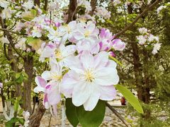 -元大都城垣遗址公园