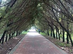 -洛阳市隋唐城遗址植物园