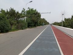 -日照海滨国家森林公园