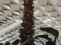 -郑州新郑国际机场