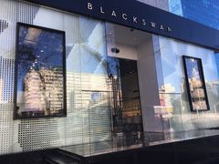 门面-BLACKSWAN黑天鹅(环球店)