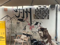 -猫的天空之城概念书店(苏州平江店)