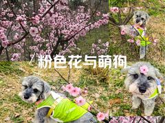 -青龙山国家森林公园