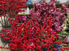 -双季花艺园艺市场(浦东店)
