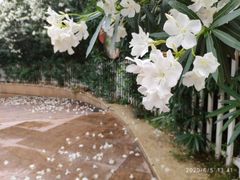 -云中捞高空旋转餐厅(商茂世纪广场店)
