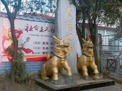 -瑞丽独树成林风景区