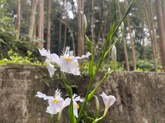 -都江堰普照寺