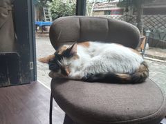 -微饮cafe