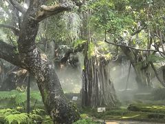 -Chom Cafe and Restaurant