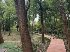 -东湖落雁景区