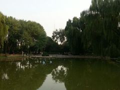 android_upload_pic-玲珑塔公园