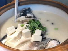 千岛湖鱼头-姜君·千岛湖鱼头馆(浦东大道店)