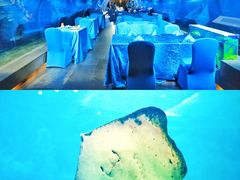 -海棠湾洲际-涛·海底餐厅·美人鱼·自助餐·海底隧道