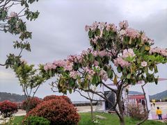 -庐山风景名胜区