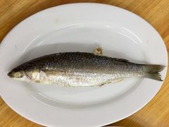 烏頭魚飯-长平老姿娘夜粥(平东一街店)