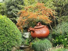 -十八棵（老龙井）御茶园(老龙井店)
