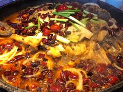 老板恋上鱼-老板恋上鱼(恒隆广场店)