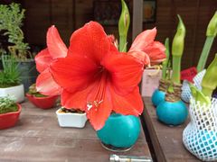 -共青国家森林公园-售票处