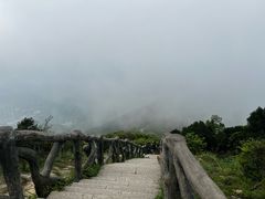 -梧桐山风景名胜区