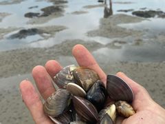 -北海金海湾红树林生态旅游区