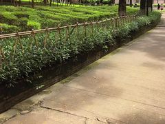 -长安公园