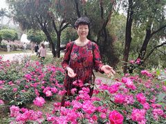 -人民公园(罗湖区)