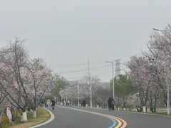 -羊山湖公园