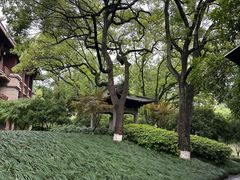 -杭州花家山庄