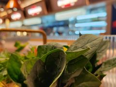-东门口·新式老北京火锅(河西龙湖天街店)