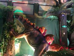 点击看大图 -恐龙探索乐园(磁器口店)