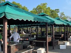 -春花秋色城市公园